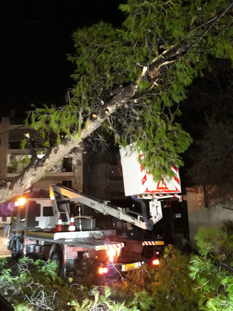 Προβλήματα με πτώσεις δέντρων σε Κηφισιά, Ηράκλειο, Γαλάτσι, Ψυχικό και Νέα Ιωνία